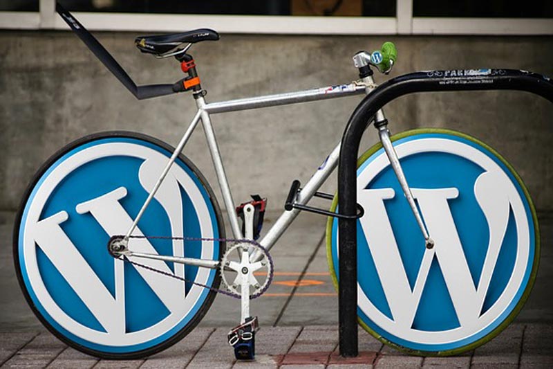 Maintaining Your WordPress Site